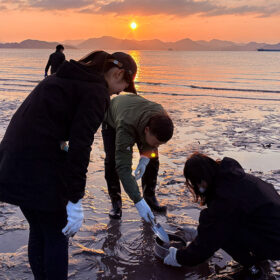 イベントレポート: Veolia Japan 社員向け環境啓発イベントを実施